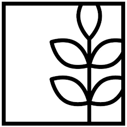 Image Trademark