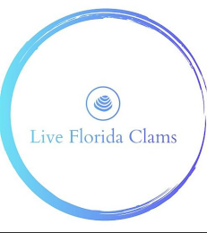 LIVE FLORIDA CLAMS