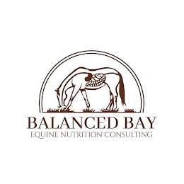 BALANCED BAY EQUINE NUTRITION CONSULTING