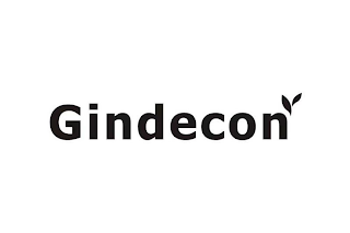 GINDECON