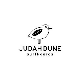 JUDAH DUNE SURFBOARDS