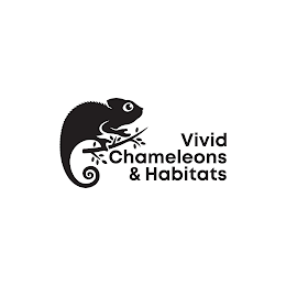 VIVID CHAMELEONS & HABITATS