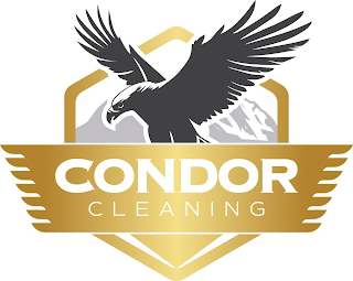 CONDOR CLEANING