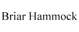 BRIAR HAMMOCK