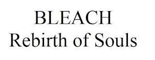 BLEACH REBIRTH OF SOULS