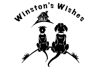 WINSTON'S WISHES