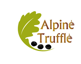 ALPINE TRUFFLE