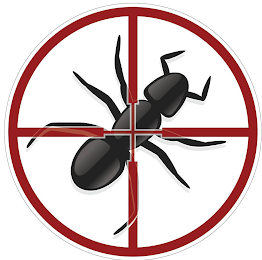 NO