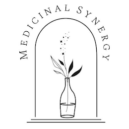 MEDICINAL SYNERGY