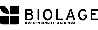 BIOLAGE PROFESSIONAL HAIR SPA