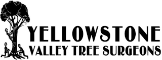 YELLOWSTON VALLEY TREE SURGEONS