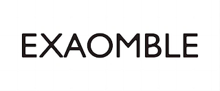 EXAOMBLE