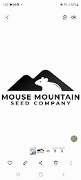MOUSE MOUNTAIN SEED COMPANY