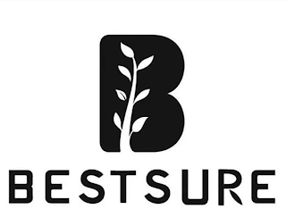 B BESTSURE