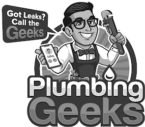 PLUMBING GEEKS GOT LEAKS? CALL THE GEEKS CALLING