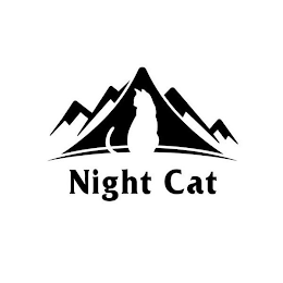 NIGHT CAT