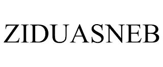 ZIDUASNEB