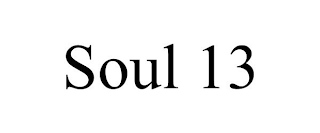 SOUL 13