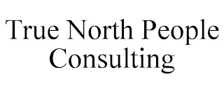 TRUE NORTH PEOPLE CONSULTING