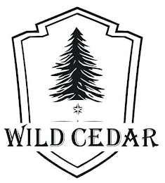 WILD CEDAR