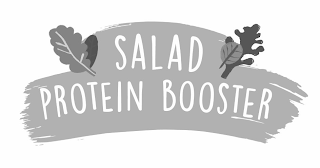 SALAD PROTEIN BOOSTER