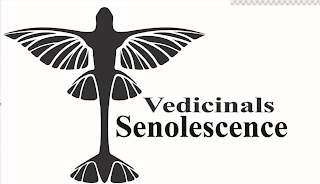 VEDICINALS SENOLESCENCE