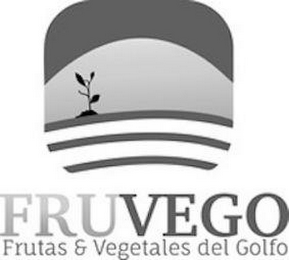 FRUVEGO FRUTAS & VEGETALES DEL GOLFO