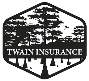 TWAIN INSURANCE