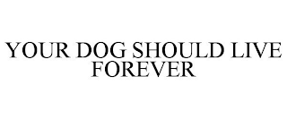 YOUR DOG SHOULD LIVE FOREVER