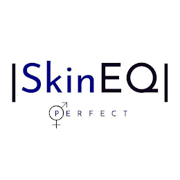 SKINEQ PERFECT