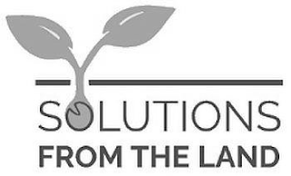 SOLUTIONS FROM THE LAND