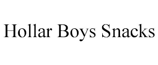 HOLLAR BOYS SNACKS