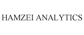HAMZEI ANALYTICS