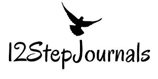 12 STEP JOURNALS