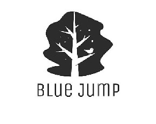 BLUE JUMP