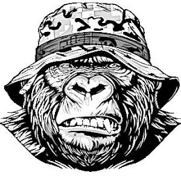 Image Trademark