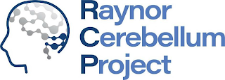 RAYNOR CEREBELLUM PROJECT