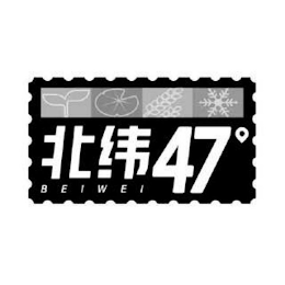 BEIWEI 47°