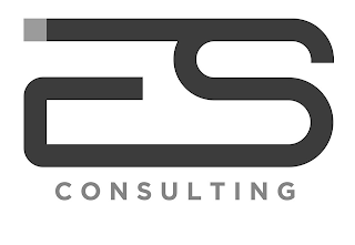 ES CONSULTING