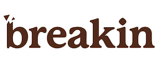 BREAKIN