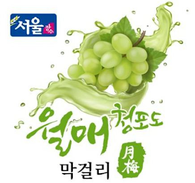 SEOUL JANGSOO WALMAE CHEONGPODO MAKGEOLLI