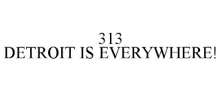 313 DETROIT IS EVERYWHERE!