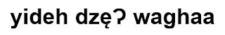 YIDEH DZȨ P WAGHAA