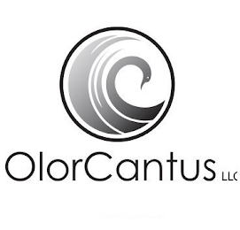OLORCANTUS LLC