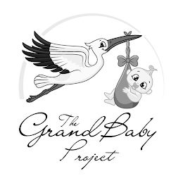 THE GRAND BABY PROJECT