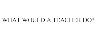 WHAT WOULD A TEACHER DO?