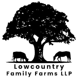 LOWCOUNTRY FAMILY FARMS LLP