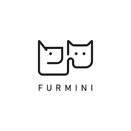 FURMINI