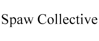 SPAW COLLECTIVE