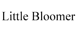 LITTLE BLOOMER